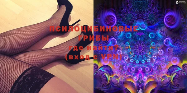 PSILOCYBIN Арсеньев