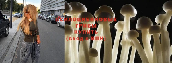 PSILOCYBIN Арсеньев